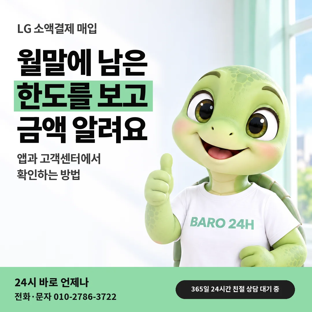 BARO 24H 티셔츠를 입은 3D 거북이 캐릭터 옆에 「LG 월말 남은 한도 보기」 제목을 얹은 안내 카드