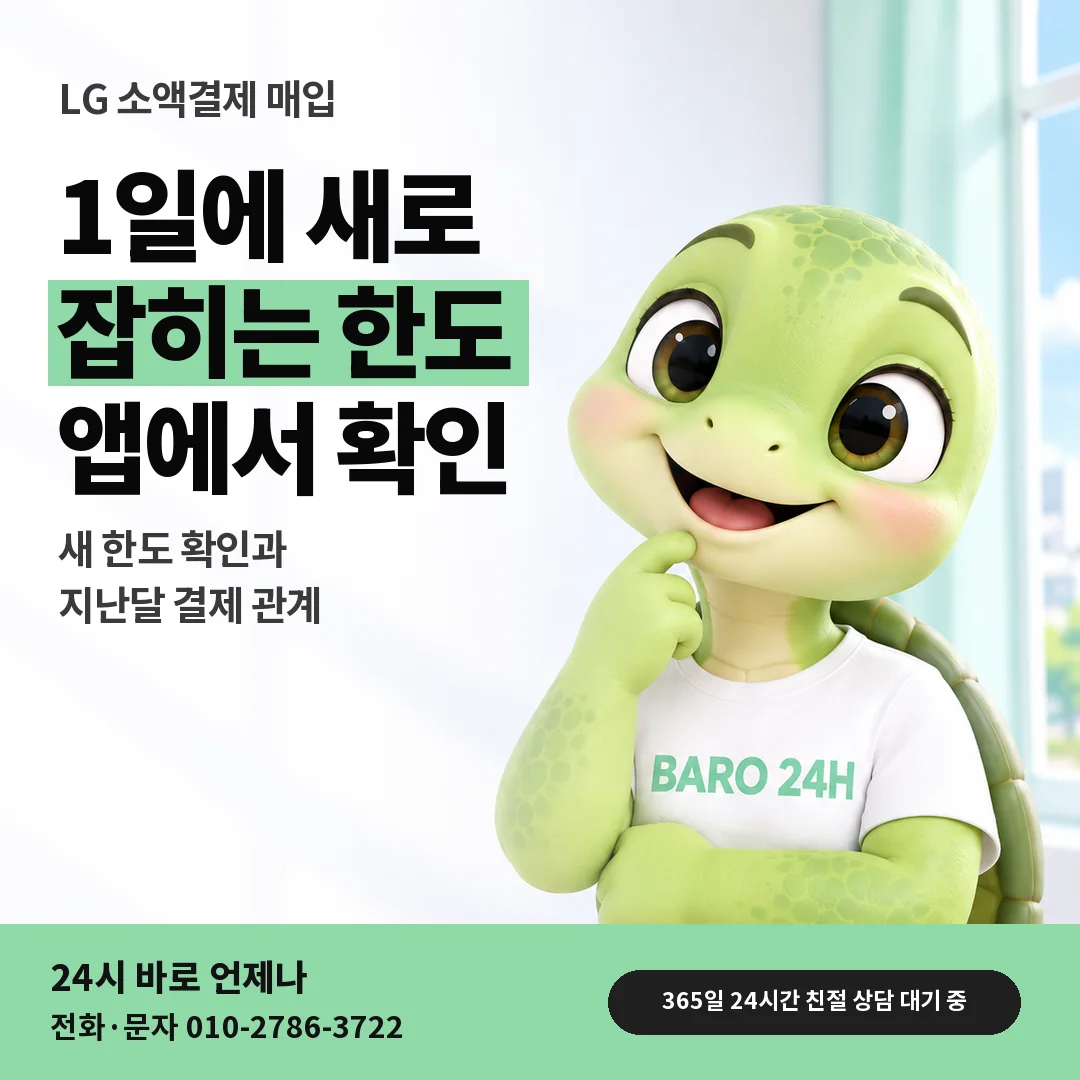 BARO 24H 티셔츠를 입은 3D 거북이 캐릭터 옆에 「LG 1일에 새로 잡히는 한도」 제목을 얹은 안내 카드
